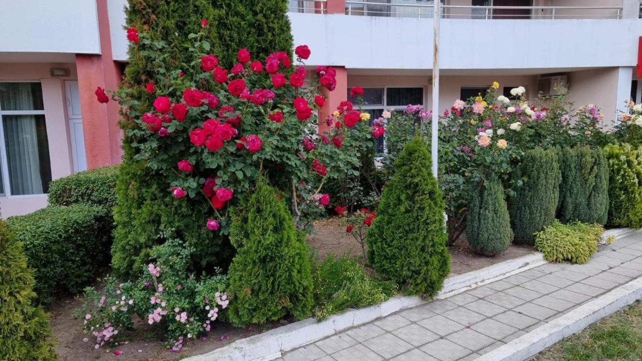 Бутикови Студиа Брита Kranevo Kültér fotó